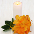 Candle for notice Patricia Mary NEAL