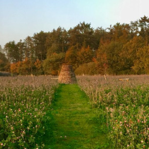 best_uk_green_burial_sites_photo_right_0