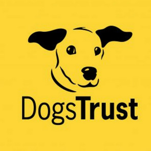 charity_spotlight_dogs_trust_photo_right_0