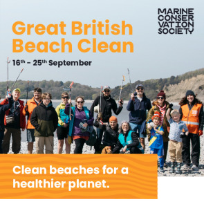 the_great_british_beach_clean_2022_photo_left_0